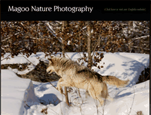 Tablet Screenshot of magoophoto.com